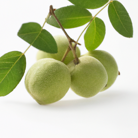 Black Walnut Flavor Oil for Lip Balm