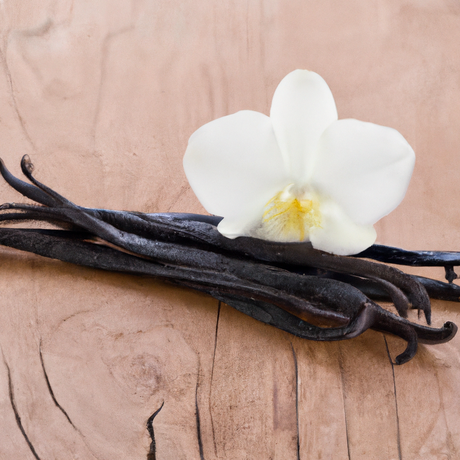 Vanilla Cream Syrup, Organic