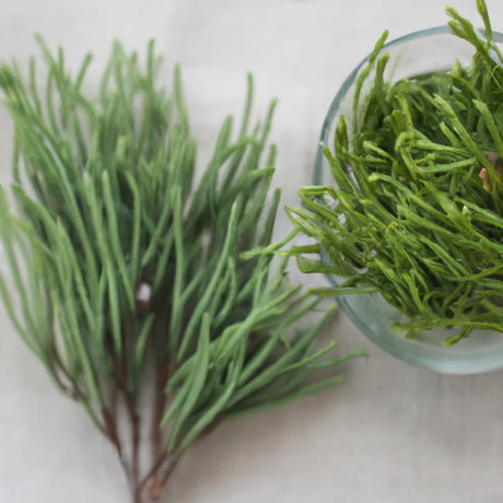 Cedarwood Fragrance Oil (Oil Soluble)