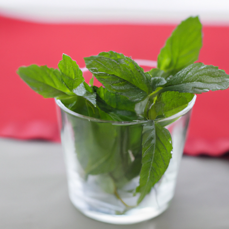 Spearmint Flavor Concentrate, Organic