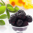 Organic Blackberry Coffee and Tea Flavoring