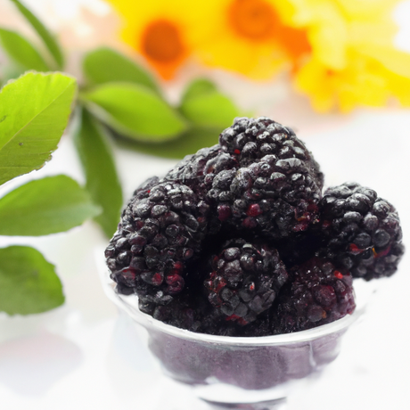 Organic Blackberry Coffee and Tea Flavoring