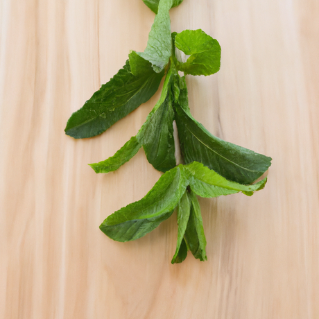 Organic Peppermint Oil For Chocolate