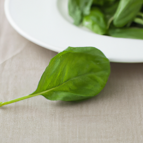 Basil Cotton Candy Floss Sugar