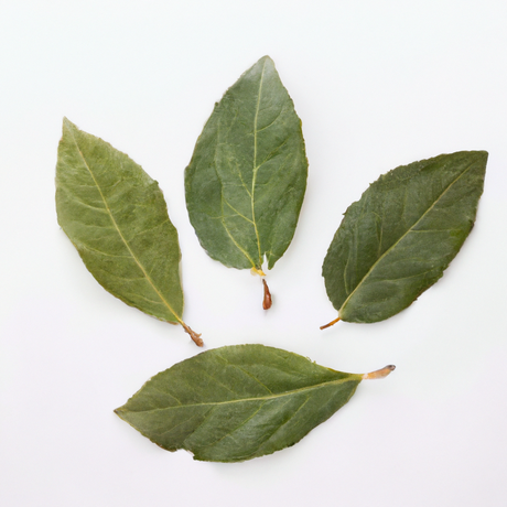 Bay Cotton Candy Floss Sugar