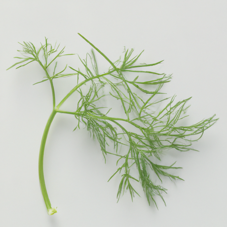 Dill Cotton Candy Floss Sugar