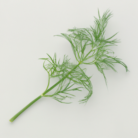 Organic Dill Cotton Candy Floss Sugar