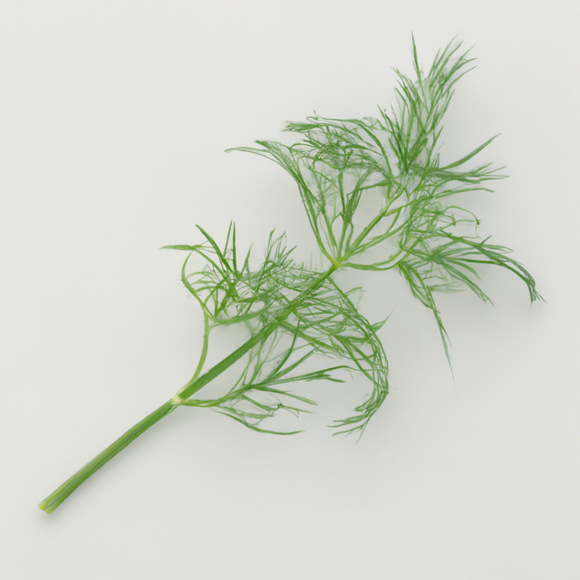 Organic Dill Cotton Candy Floss Sugar