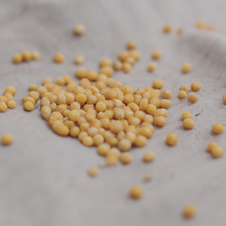 Organic Mustard Seed Cotton Candy Floss Sugar