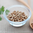 Coriander Flavor Powder, Natural