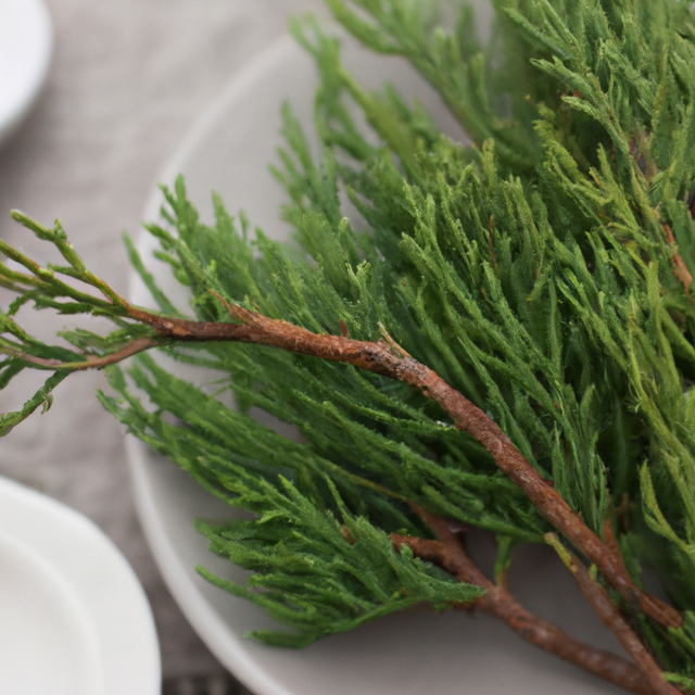 Cedarwood Fragrance Oil (Oil Soluble), Organic