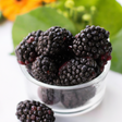 Blackberry Flavor Extract, Natural