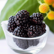Blackberry Flavor Extract Without Diacetyl