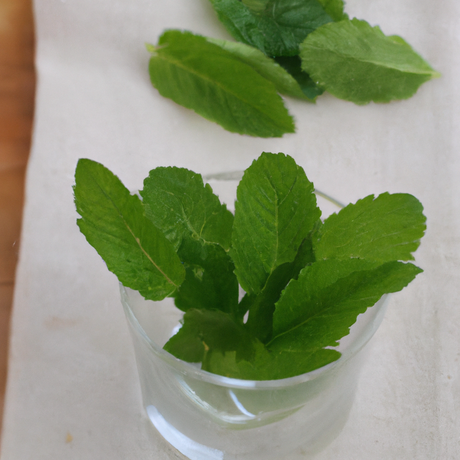Spearmint Flavor Powder (Sugar-Free), Organic