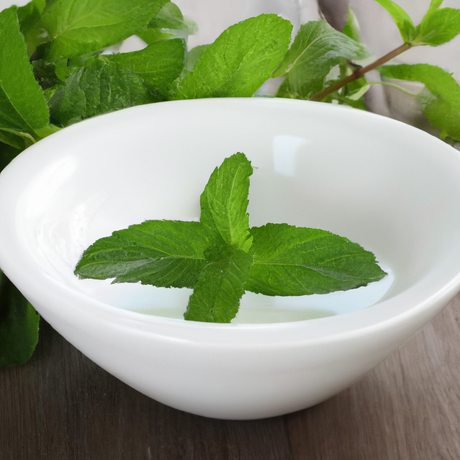 Organic Spearmint Flavor Oil for Lip Balm