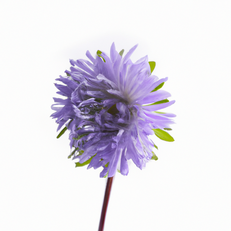 Violet Flavor Emulsion for High Heat Applications, Organic