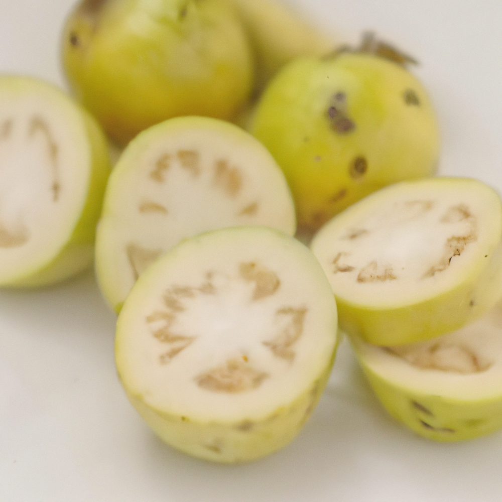 Guava Extract – Newport Flavors & Fragrances