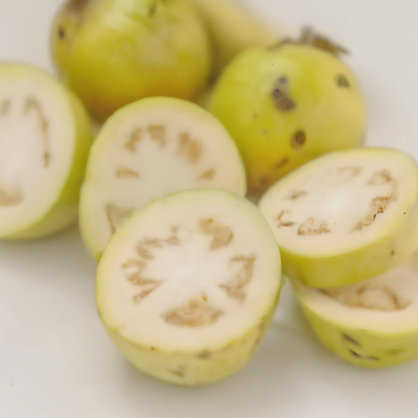 Guava Flavor Extract, Natural