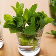 Mint Flavor Extract - TTB Approved, Natural