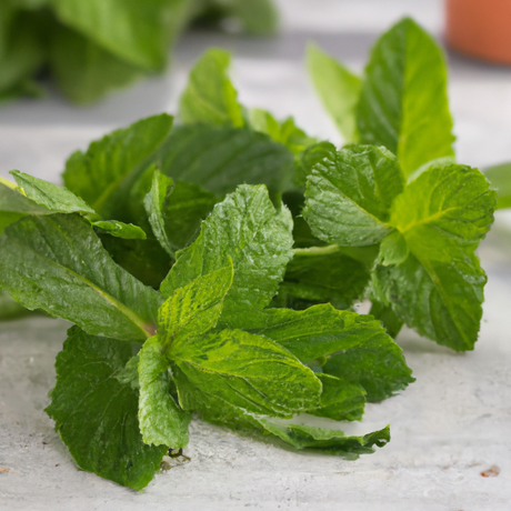 Organic Peppermint Fragrance Emulsion (Water Soluble)