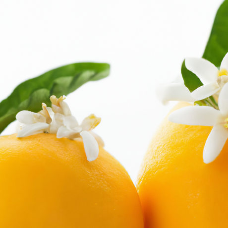 Neroli Fragrance Emulsion (Water Soluble)