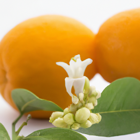 Organic Neroli Fragrance Emulsion (Water Soluble)