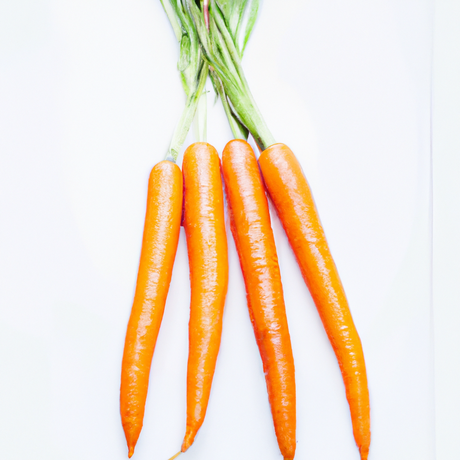 Carrot Flavor Extract, Organic