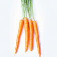 Organic Carrot Flavor Extract Without Diacetyl