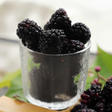 Organic Boysenberry Flavor Extract Without Diacetyl