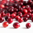 Cranberry Fragrance Emulsion (Water Soluble)