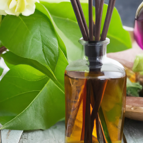 Clary Sage Fragrance Oil (Oil Soluble), Organic