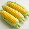 Corn Flavor Extract Without Diacetyl