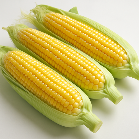 Corn Flavor Extract Without Diacetyl