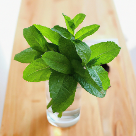 Mint Flavor Powder, Organic