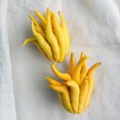 Citron Flavor Extract, Organic