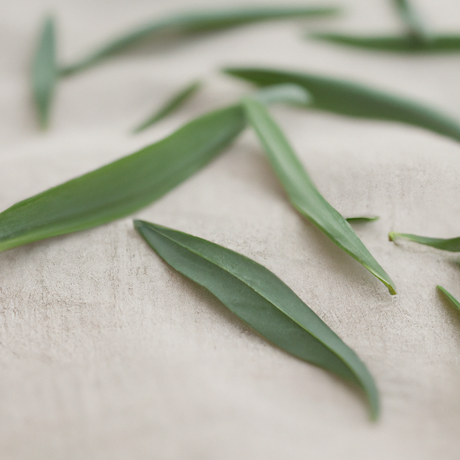 Tarragon Leaf Flavor Powder, Natural