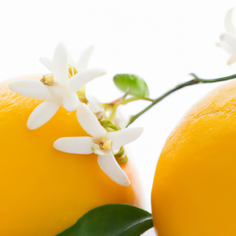 Neroli Fragrance Oil (Alcohol Soluble)