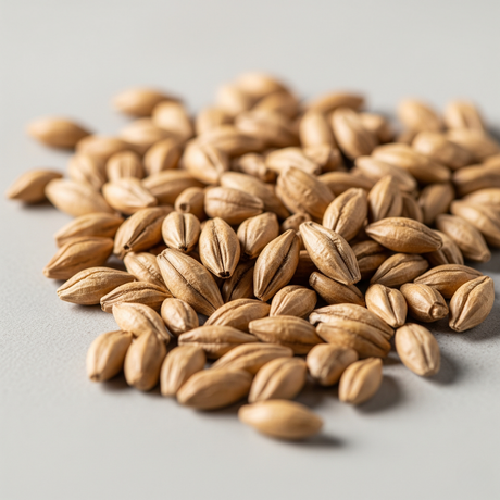 Malt Flavor Concentrate, Organic