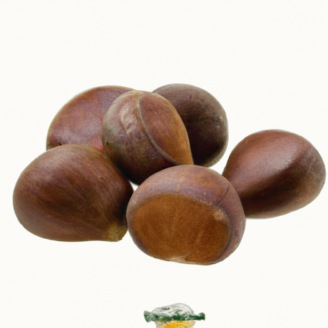 Chestnut Flavor Concentrate, Organic