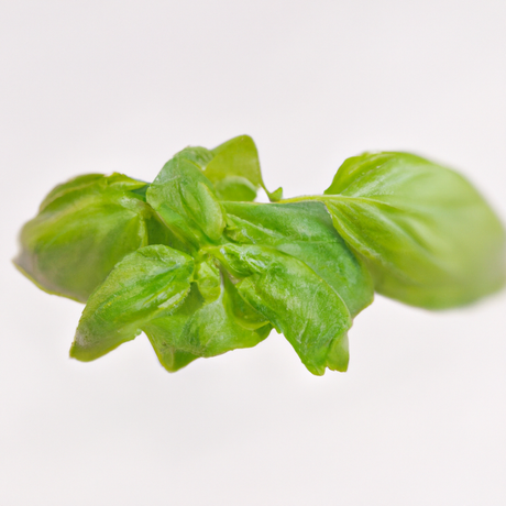 Organic Basil Flavor Concentrate Without Diacetyl