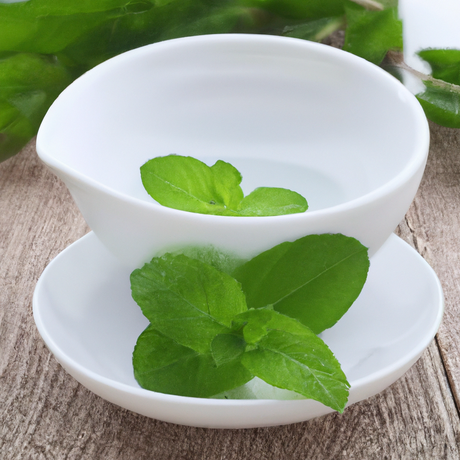 Spearmint Fragrance Oil (Oil Soluble), Organic