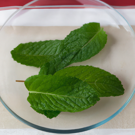 Organic Spearmint Fragrance Emulsion (Water Soluble)