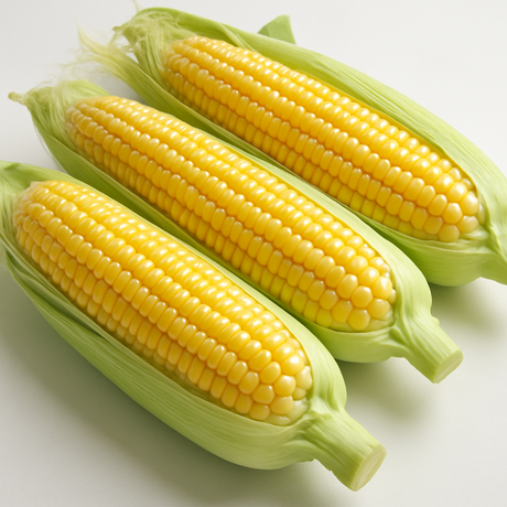 Corn Flavor Concentrate, Natural - TTB Approved