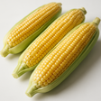 Corn Flavor Concentrate, Organic - TTB Approved