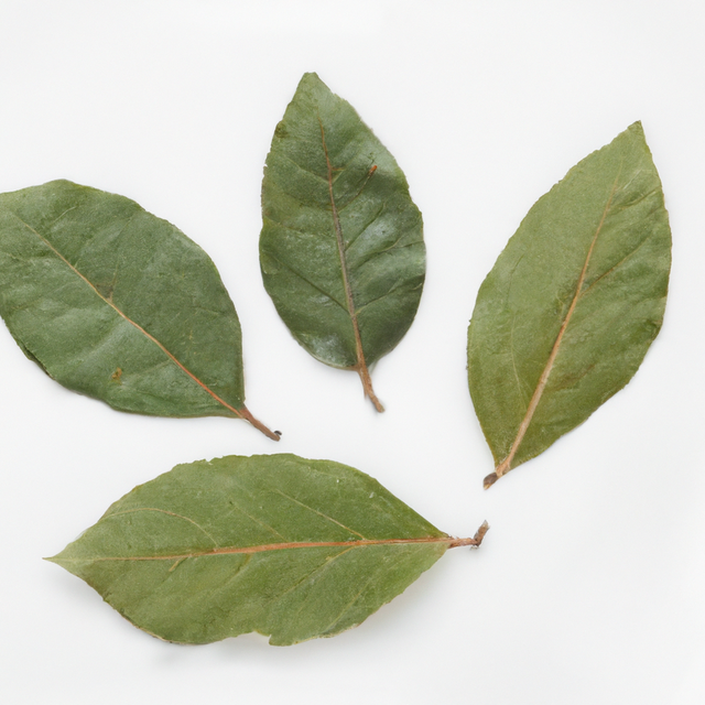 Bay Flavor Extract Without Diacetyl