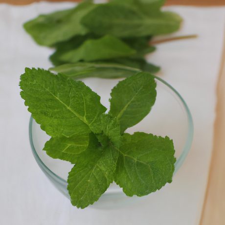 Spearmint Flavor Oil for Chewing Gum
