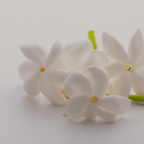 Organic Jasmine Fragrance Powder