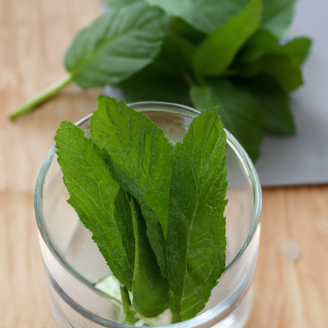 Spearmint Fragrance Oil (Alcohol Soluble)