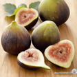 Fig Flavor Concentrate, Organic