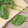 Basil Flavor Extract, Natural